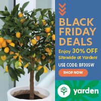 Long-Lasting Evergreen Links for Yarden Garden Website Promotion